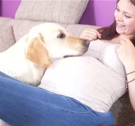 麻麻，怀孕了也不要丢掉我好吗？