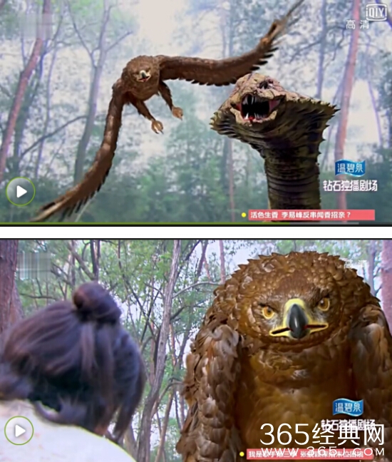 新神雕侠侣雕兄哪集出现的怎么会飞 新神雕侠侣雕怎么这么萌萌哒