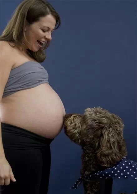 麻麻，怀孕了也不要丢掉我好吗？