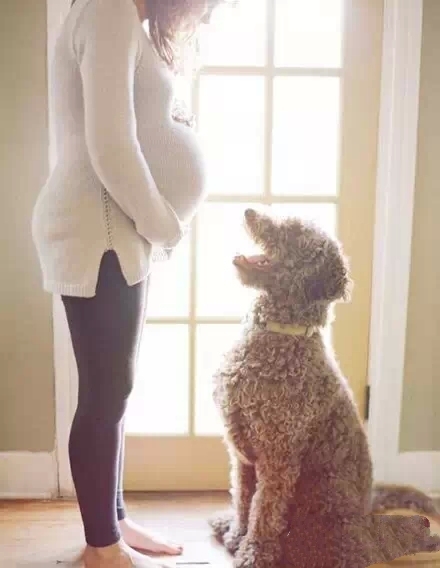 麻麻，怀孕了也不要丢掉我好吗？