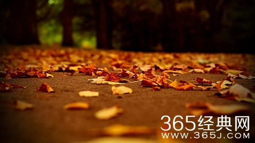 有些所谓的“努力”，其实就是毫无意义价值的生命消耗图片