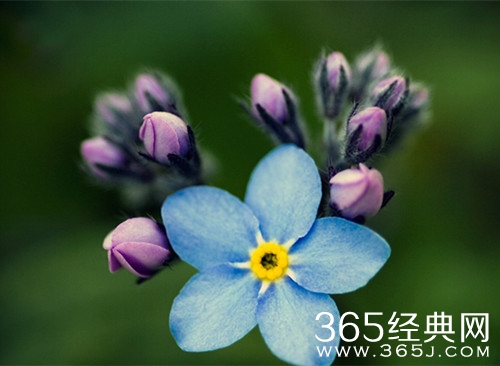 有些所谓的“努力”，其实就是毫无意义价值的生命消耗图片