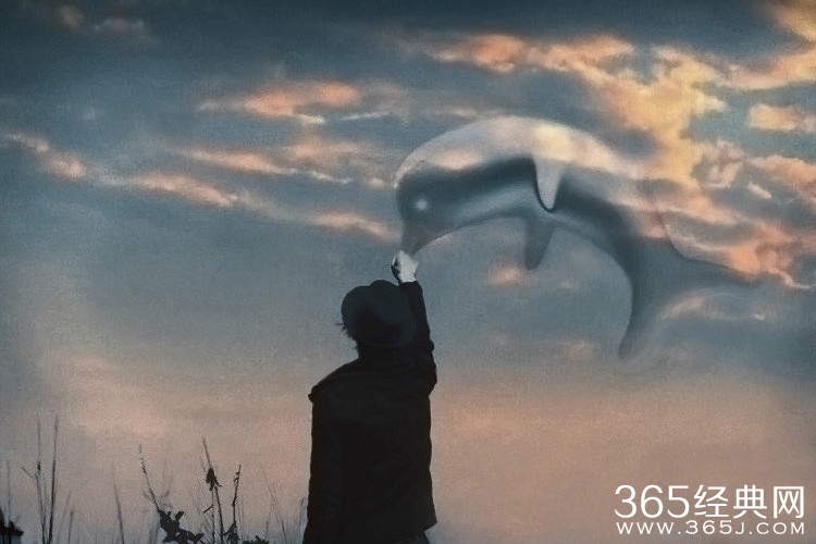 刘同：纵有疾风来，人生不言弃图片