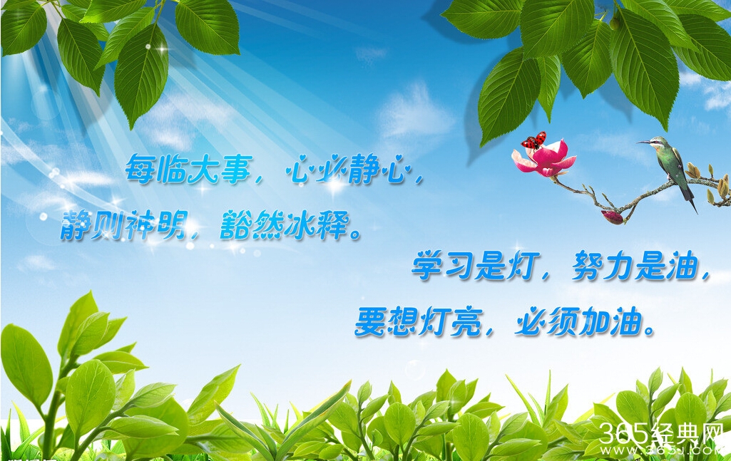 2015早会激励口号大全