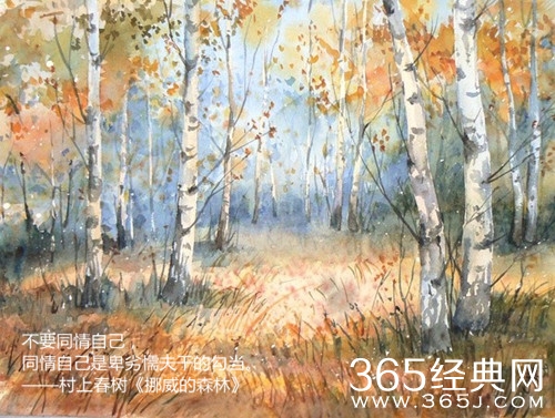 村上春树：世上存在着不能流泪的悲哀图片