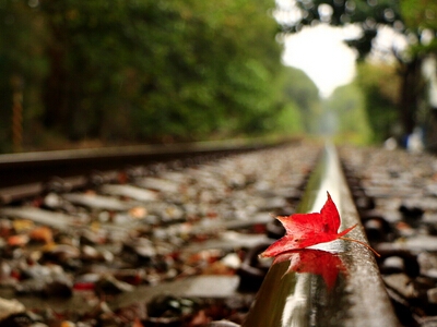 关于想念的说说大全