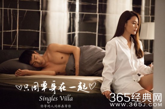 只因单身在一起剧评：国产偶像剧创新之作图片