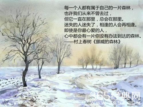 村上春树：世上存在着不能流泪的悲哀图片