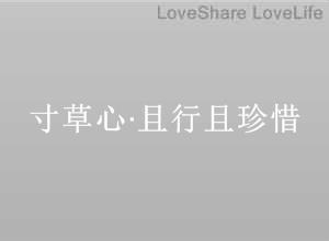 寸草心且行且珍惜