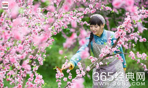 电视剧《活色生香》今晚开播 三大看点引人期待