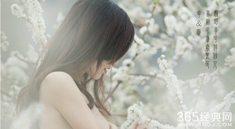 爱情感悟美文：20年后，你若未嫁，我便娶你！