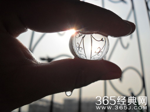 执着是爱情的笙箫，成全是生活的康桥图片