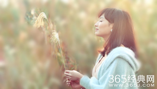 轻轻敲打心间的心灵微语