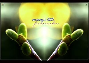 我与春风有个约定