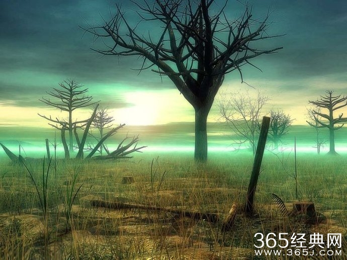 轻轻敲打心间的心灵微语