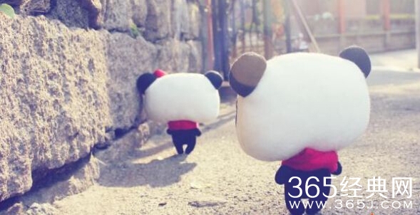 请宽恕我自作多情的打扰了你这么久