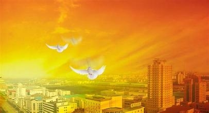 2014年机关党员干部个人总结范文