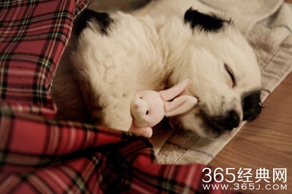 温暖心灵的哲思小语