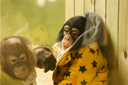 W020150205657225143388