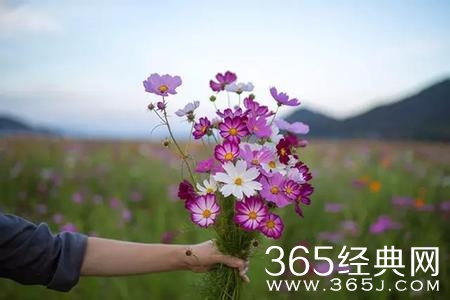 该得到的不会走，该失去的不会留