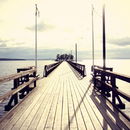 只专注于脚下的路