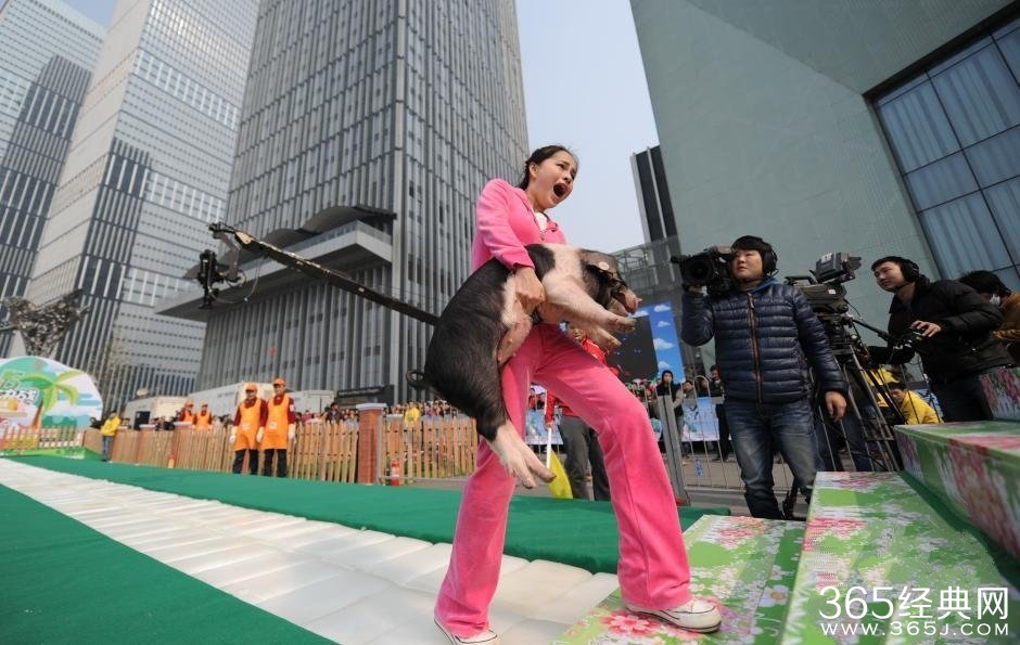 长沙举行冰面抱花猪赛跑 唐僧三人齐聚与美女抱猪亲吻