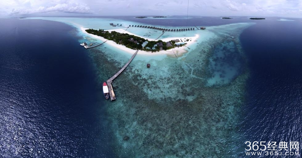 沙特新国王的十大奢华王者特权