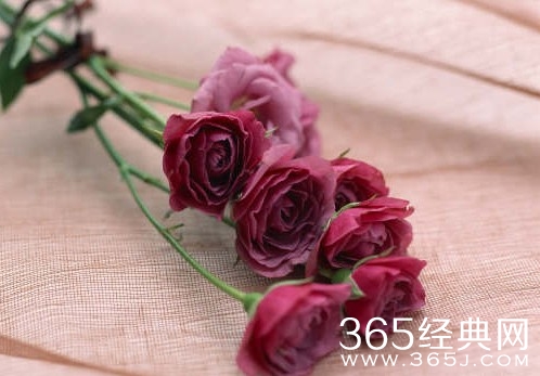 请记住：我很重要