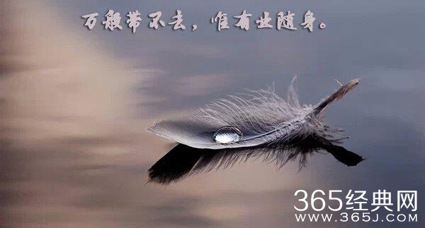 世界上什么东西最难得