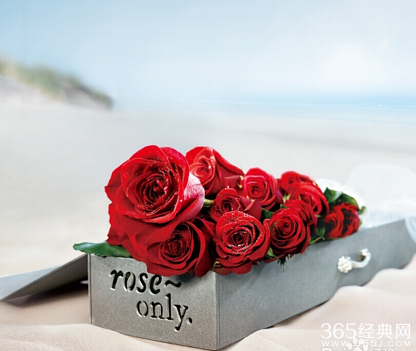 七夕情人节没有情人