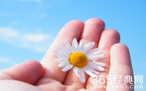 最新人生哲理语句