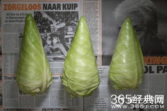 揭秘各国穷人都吃得起什么饭