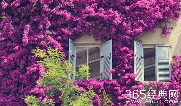 有一种缘分叫安排 有缘，自然遇见