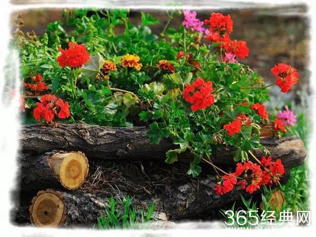 不要轻易离开对你真情的人，离了就再也无法见到