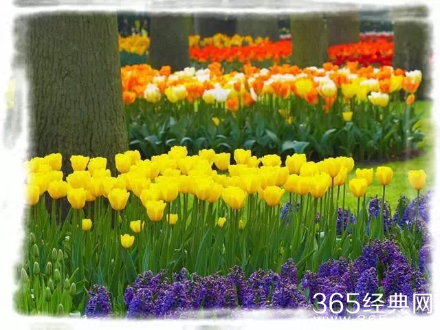 不要轻易离开对你真情的人，离了就再也无法见到