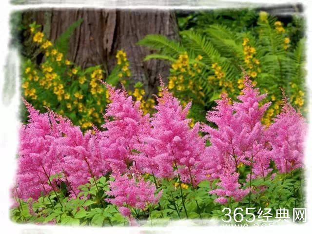 不要轻易离开对你真情的人，离了就再也无法见到