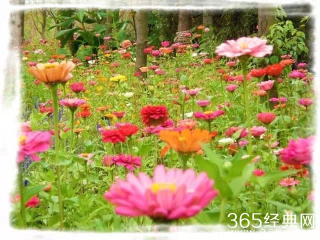 不要轻易离开对你真情的人，离了就再也无法见到