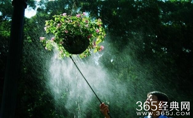 一辈子，一句话，真好！