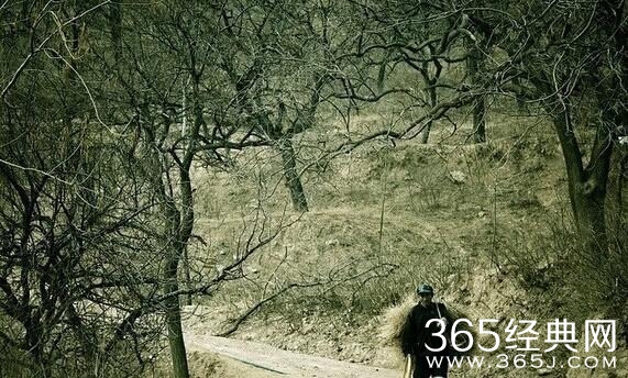 一辈子，一句话，真好！