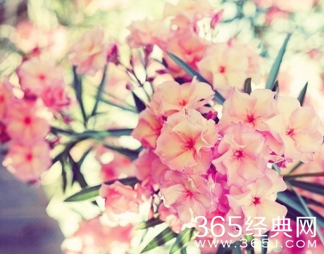 佛经上181条做人的道理