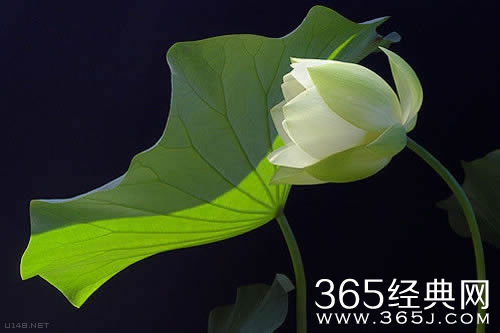 来自有意思吧（www.u148.net）