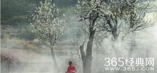 一辈子，一句话，真好！