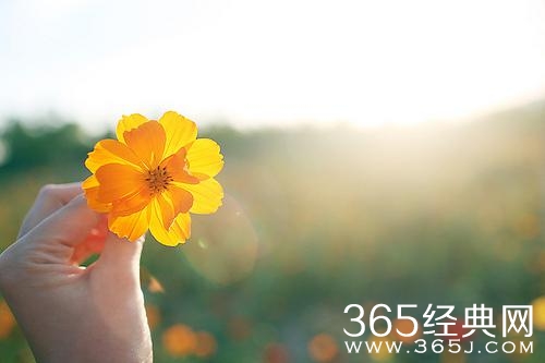 10句话让你明白爱情，戳中你心底最柔软的地方