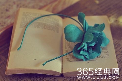 10句话让你明白爱情，戳中你心底最柔软的地方