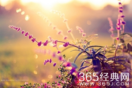 一旦做出成绩来，那么全世界都将和颜悦色