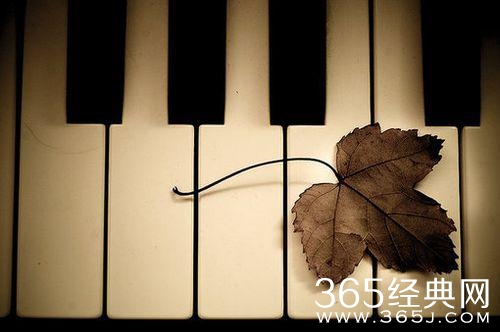 10句话让你明白爱情，戳中你心底最柔软的地方