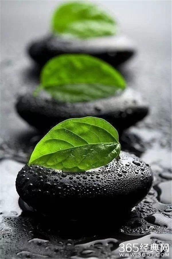 十二首用情至深的诗句