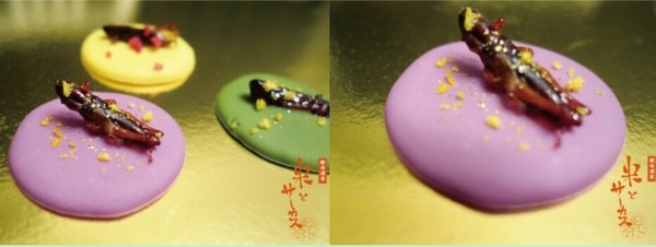 世界各国情人节奇葩活动