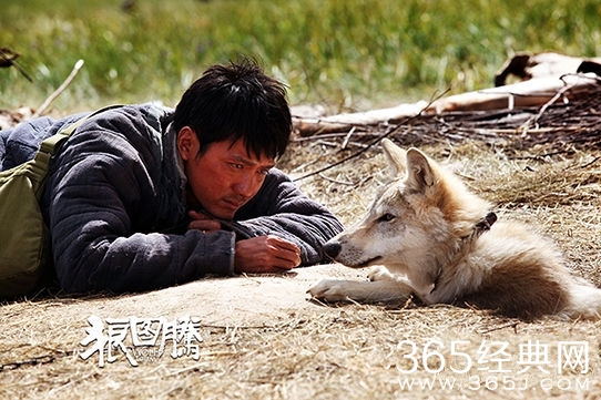 《狼图腾》春节提前上映