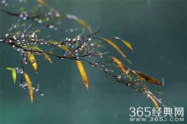 十二首用情至深的诗句